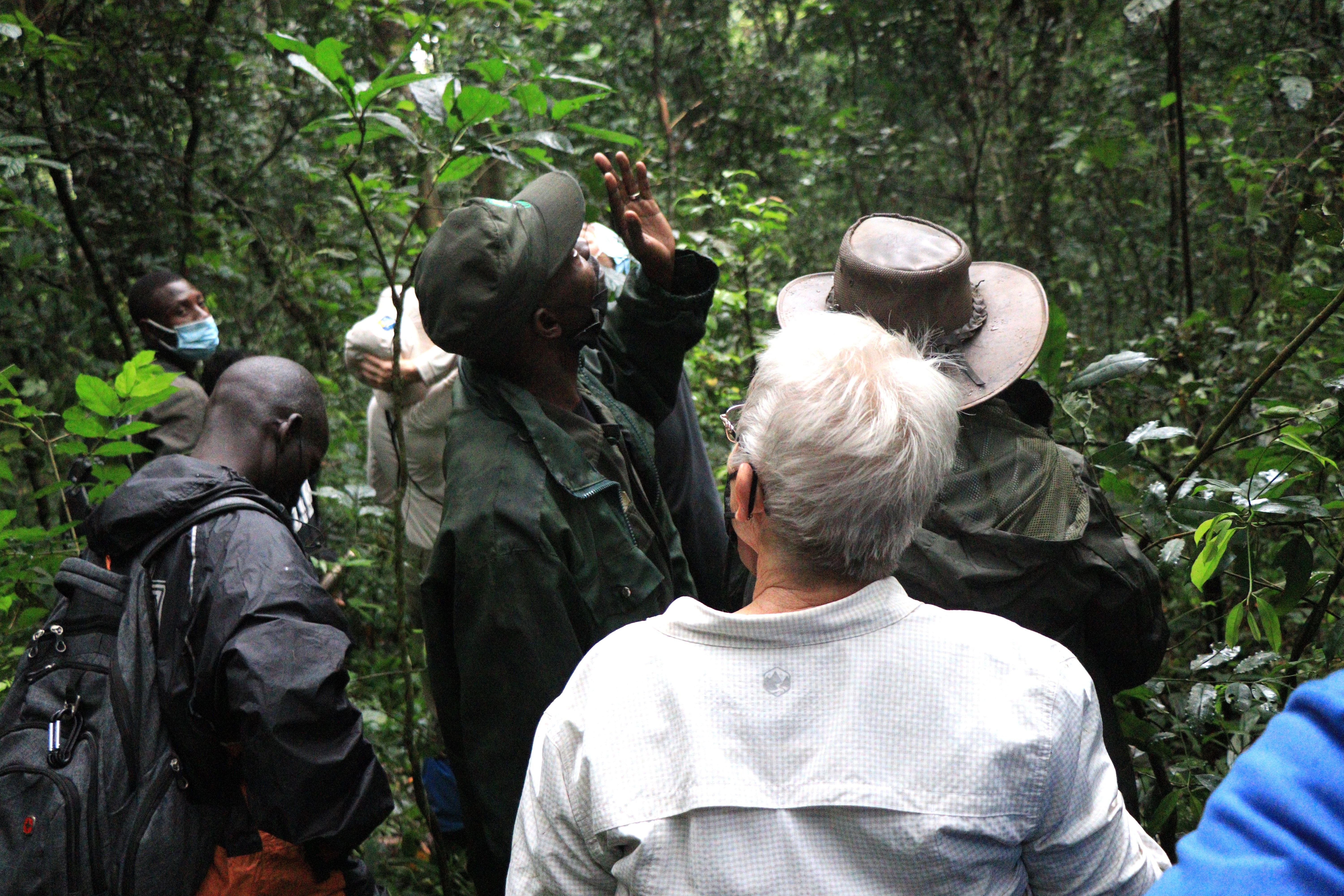 Uganda Safari Travel Guide: Where to Go, What to See and When to Visit