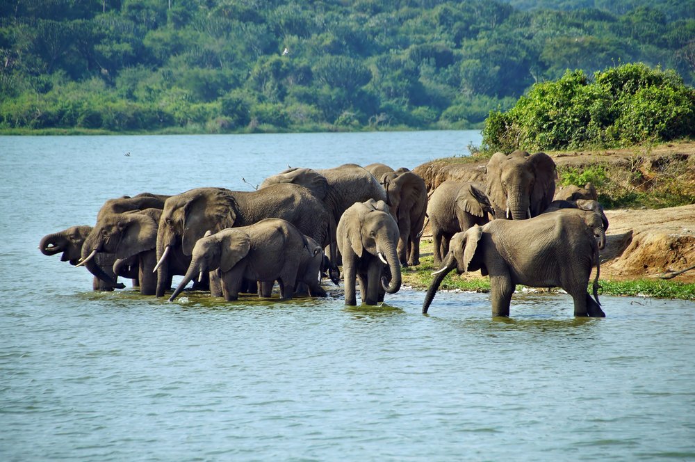 Best Places to Visit in Uganda