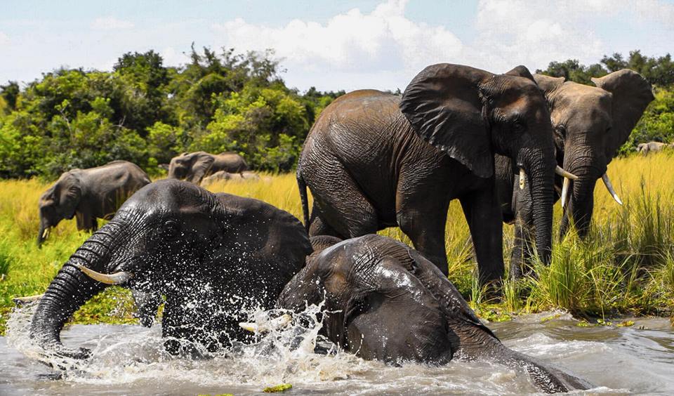 9 Days Extreme Wild Adventure Uganda Discovery