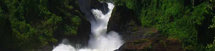 4 Days Fishing and Wildlife Adventure Safari in Uganda