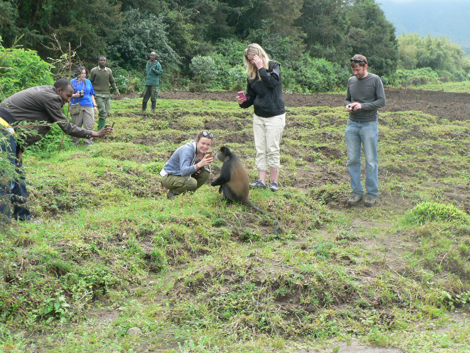 10 Days Rwanda Wildlife Tour
