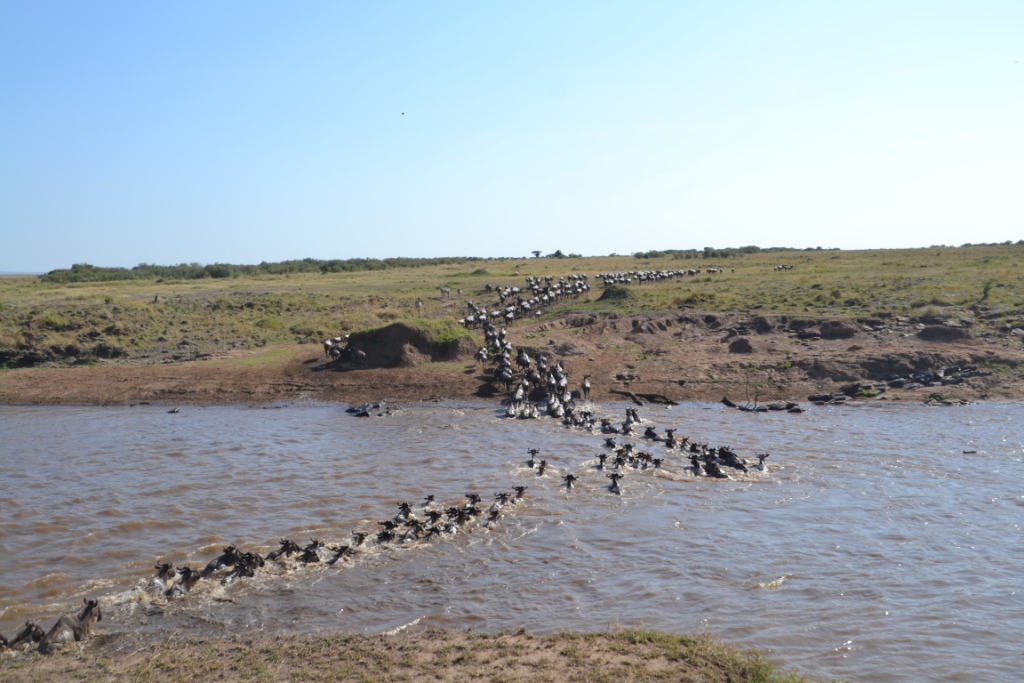 2 Nights 3 Days Masai Mara Safari