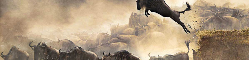 Rwanda Tanzania Tours