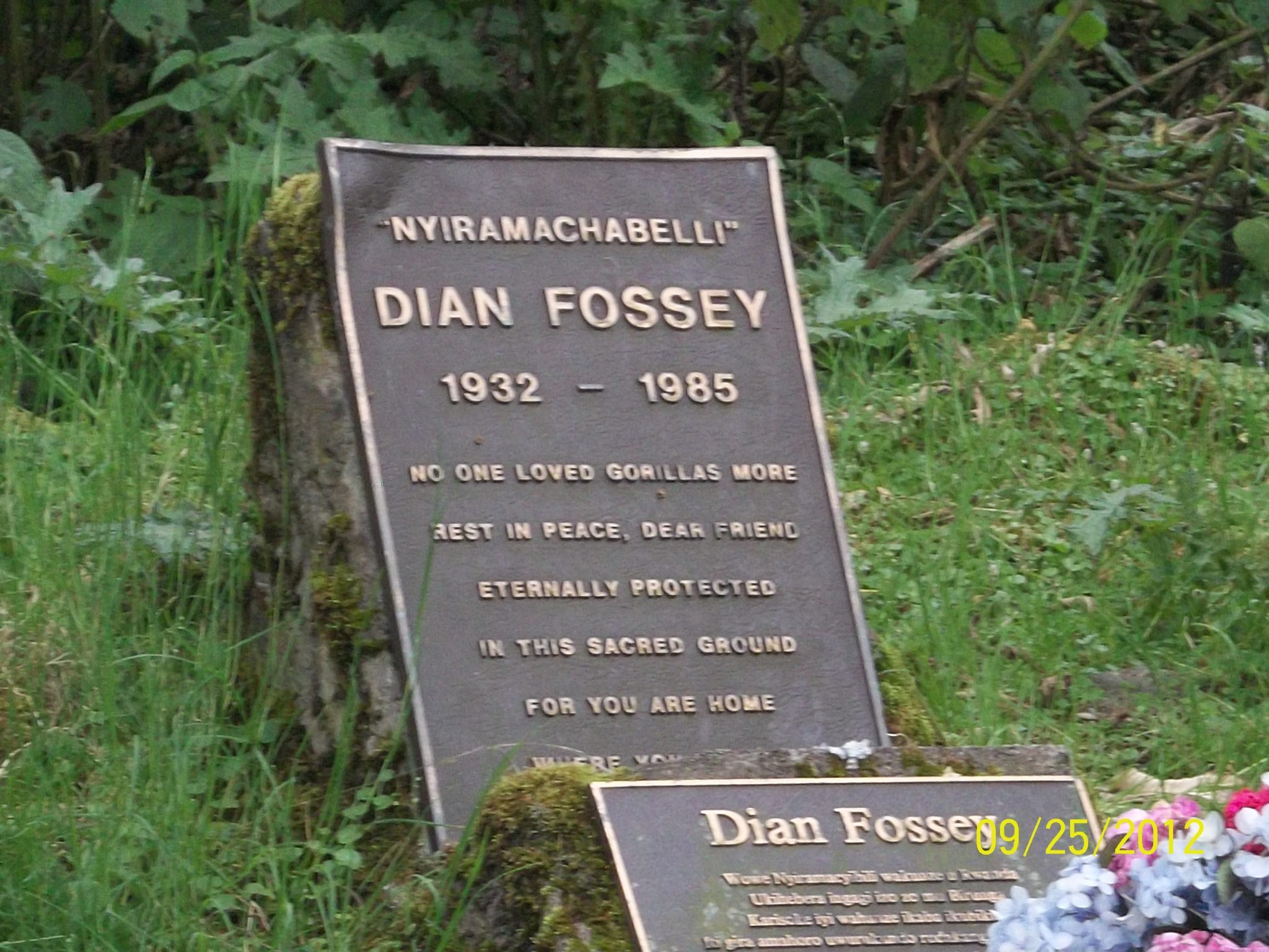 Hike to the Dian Fossey Grave