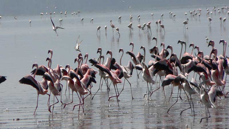 Rusizi River National Park