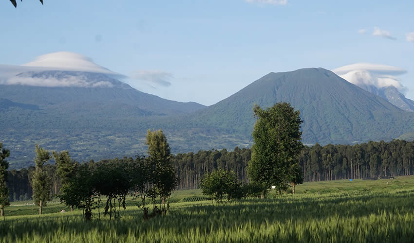 The Five Volcano Mountains In Rwanda