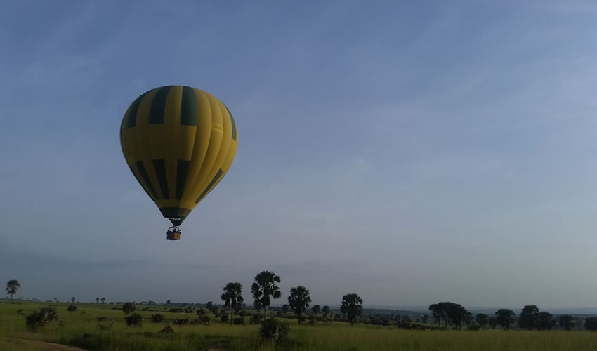 Hot air balloon in Murchison