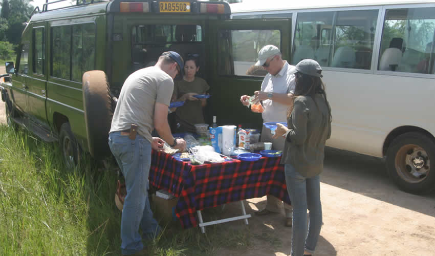 lunch picnic in akagera