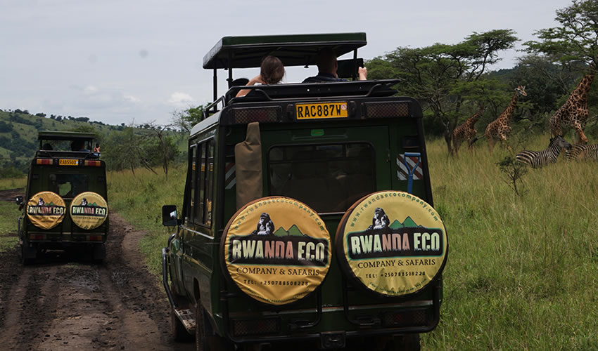 rwanda group safari tour