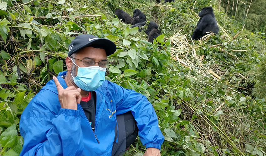 tourists near gorillas in Rwanda