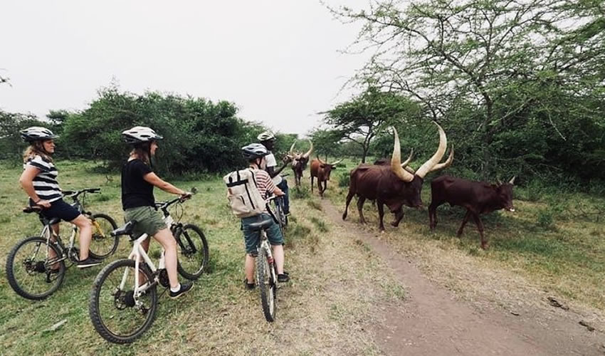 cycling tours in Uganda