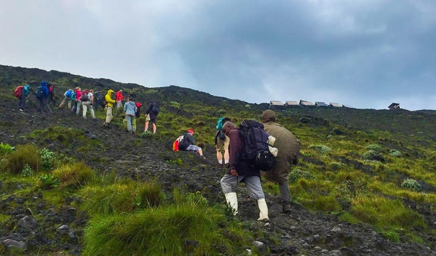 hikers to Nyiragongo volcano