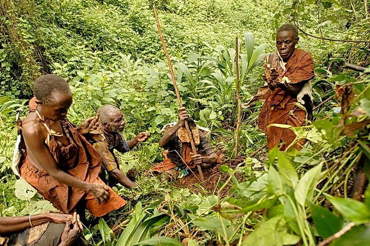 Visiting Batwa Cultural People In Uganda
