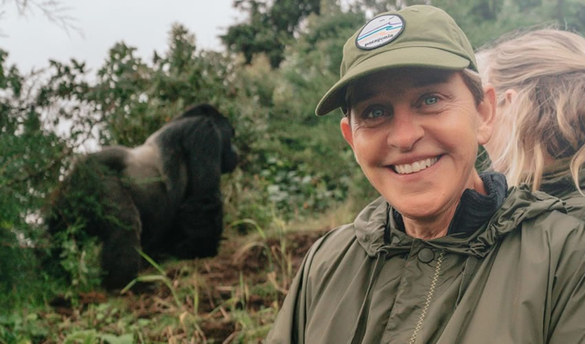 Ellen DeGeneres Campus Of The Dian Fossey Gorilla Fund
