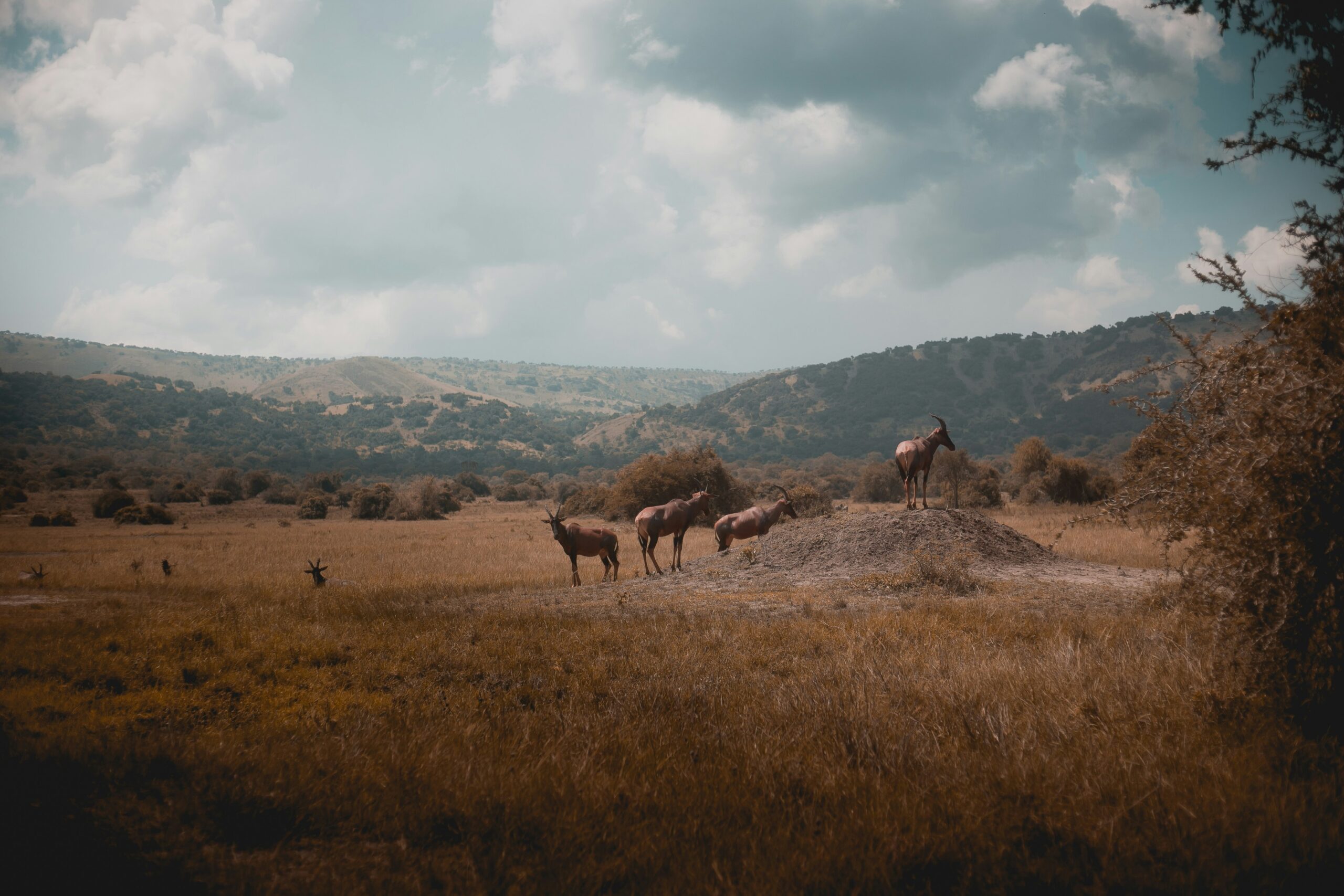 6 Days Rwanda Discovery