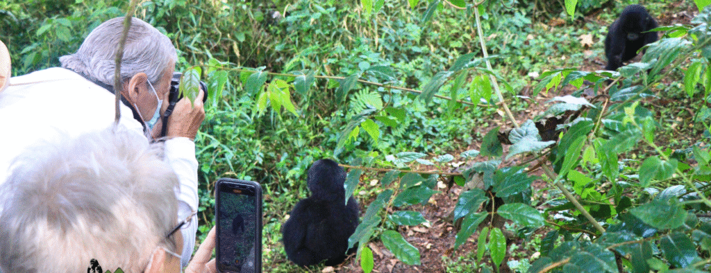 Custom private Rwanda Safaris