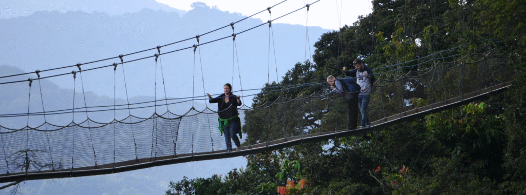 8 days Rwanda primates self drive Nyungwe canopy walk