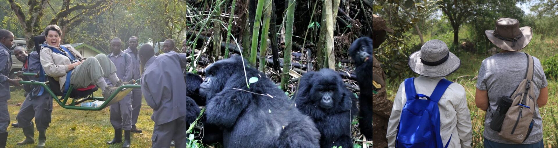 African Safaris For Seniors