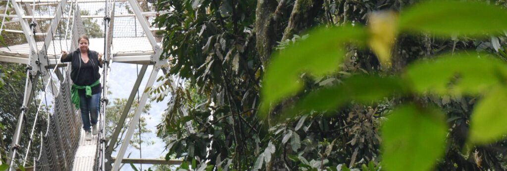 Places to visit in Rwanda: Nyungwe National Park canopy walk experience